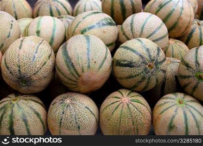 Cantaloupe rock melon muskmelon spanspek stacked on market