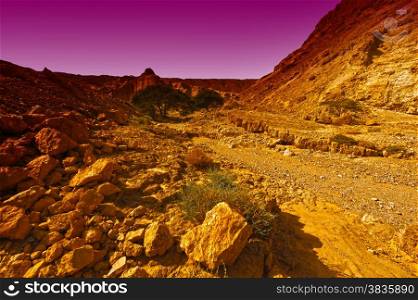 Canyon and Rocky Hills of the Negev Desert in Israel at Sunset