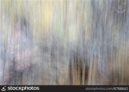 Canyon and trees in fall colors - nature motion blur abstract
