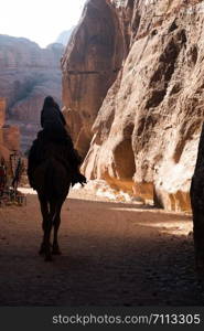 Canyon at the entrance in Petra, Jordan ancient city