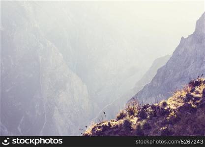 canyon Colca in Peru, South America