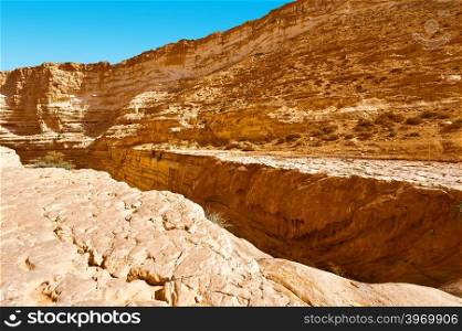 Canyon En Avedat of the Negev Desert in Israel