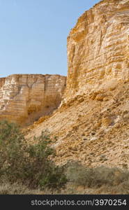 Canyon En Avedat of the Negev Desert in Israel