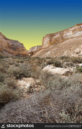 Canyon En Avedat of the Negev Desert in Israel at Sunset