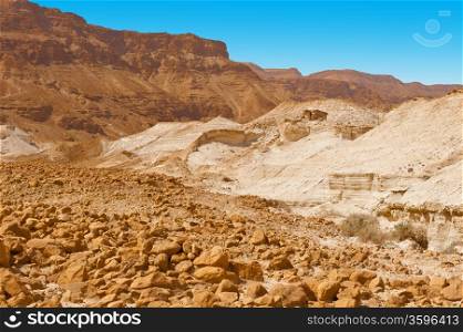 Canyon in the Judean Desert on the West Bank
