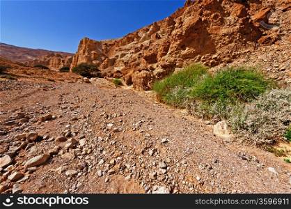 Canyon in the Judean Desert on the West Bank