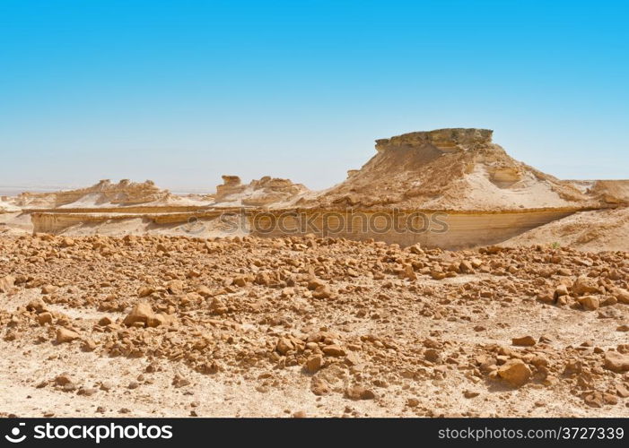 Canyon in the Judean Desert on the West Bank