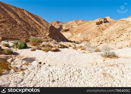 Canyon of the Negev Desert in Israel