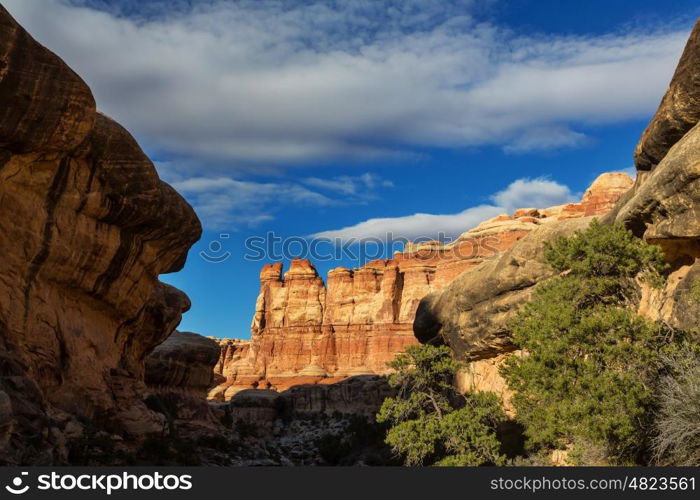 Canyonlands National Park