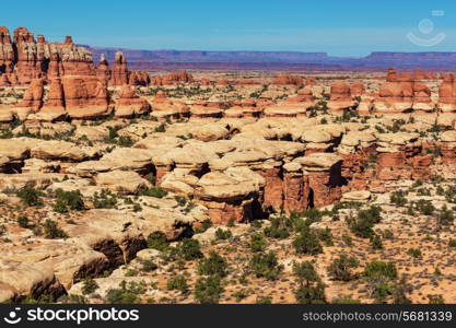 Canyonlands park