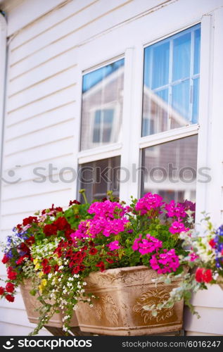 Cape Cod Provincetown in Massachusetts USA