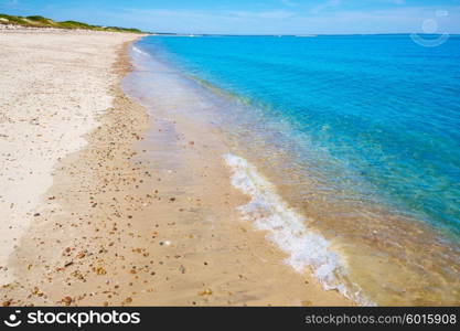 Cape Cod Sandy Neck Beach in Barnstable Massachusetts USA