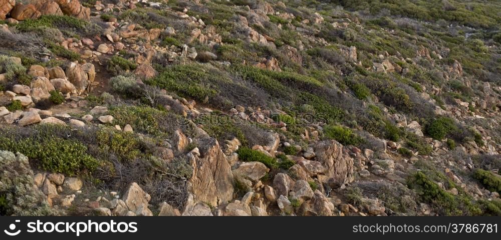 Cape Naturaliste Gneiss