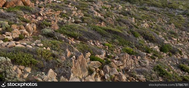 Cape Naturaliste Gneiss