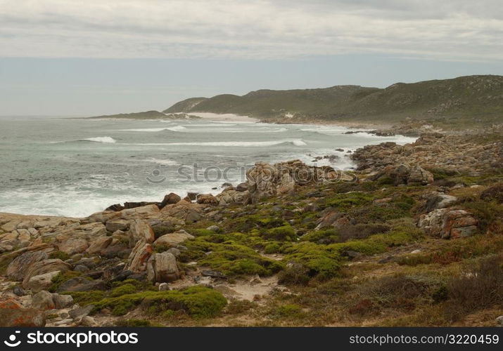 Cape of Good Hope - South Africa