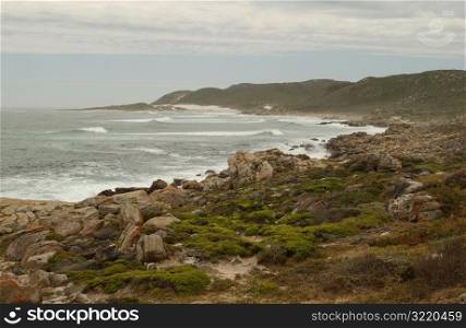 Cape of Good Hope - South Africa