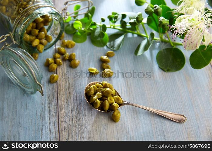 Capers pickled with plant and caper plant flower on vintage spoon