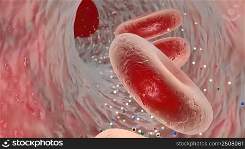 capillary, in human physiology, any of the small blood vessels that form networks throughout body tissues passage of oxygen through capillaries 3D illustration. oxygen flow through capillaries