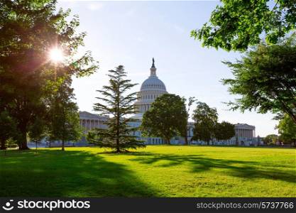Capitol building Washington DC sunset garden USA US congress