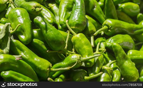 Capsicum fresh green peppers and red flowers