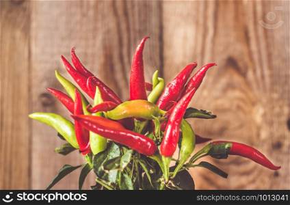 Capsicum mix in the pot on the wooden background