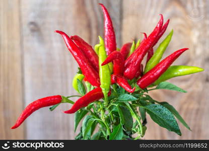 Capsicum mix in the pot on the wooden background