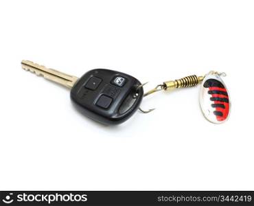 Car a key caught on a spinner for the big predatory fish