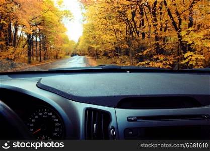 car autumn road, sun, concept autotravel