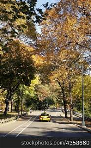 Car on a road, Central Park, Manhattan, New York City, New York State, USA