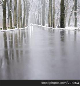 car on tarmac road and reflection in wet surface through snow forest in dutch winter near austerlitz and utrecht in holland