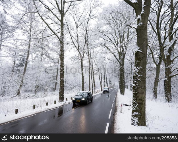car on tarmac road and reflection in wet surface through snow forest in dutch winter near austerlitz and utrecht in holland