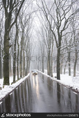 car on tarmac road and reflection in wet surface through snow forest in dutch winter near austerlitz and utrecht in holland