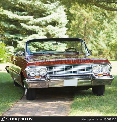 Car parked in a lawn