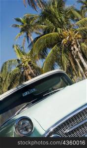 Car parked in front of palm trees, Miami, Florida, USA