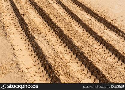 Car tire marks in the sand. car tracks. desert. more sand