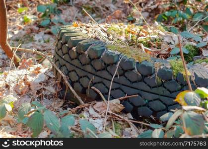 car tires in the forest, pollution of nature by car tires. pollution of nature by car tires, car tires in the forest