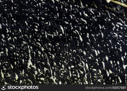 Car wash foam. Car with Foam Wash