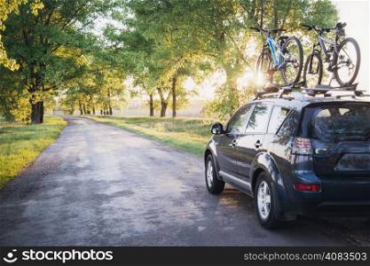 Car with bicycles in the forest road at sunset