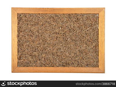 Caraway seeds in frame