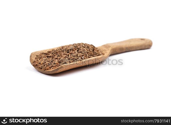 Caraway seeds on shovel