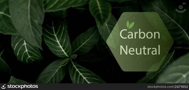 Carbon neutral concept. CO2 neutral in hexagon logo on green leaves. Environment day and earth day background. Eco friendly. Ecology environment and conservation. Carbon neutral horizontal web banner.
