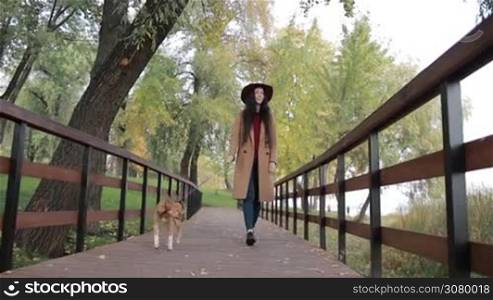 Carefree fashionable woman in camel coat and hat with puppy on leash walking on wooden pedestrian bridge in autumn park. Beautiful long brown hair female with dog relaxaing in public park in indian summer. Steadicam stabilized shot. Slow motion.