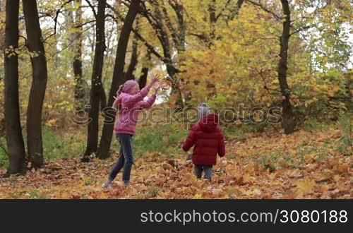 Carefree teenage girl and her cute toddler brother in colorful clothes playing with yellow fallen maple leaves in autumn park. Happy siblings having fun in autumn forest in warm fall day. Brother and sister throwing leaves in park in indian summer.