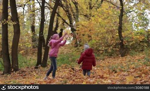 Carefree teenage girl and her cute toddler brother in colorful clothes playing with yellow fallen maple leaves in autumn park. Happy siblings having fun in autumn forest in warm fall day. Brother and sister throwing leaves in park in indian summer.