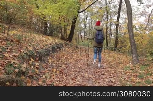 Carefree trendy hipster girl with backpack walking her cute puppy in autumn park. Back view. Attractive young woman in stylish outfit taking a stroll with her dog in public park in indian summer. Steadicam stabilized shot. Slow motion.
