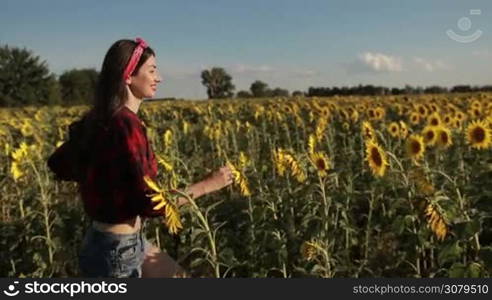 Carefree young long brown hair female running through field of sunflowers on sunny summer day. Side view. Profile of smiling woman enjoying nature, laughing and having fun in sunflower field during vacation in countryside. Slo mo. Stabilized shot.