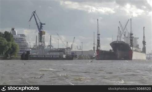 Cargo ship mooring at the Hamburg port. Flying gulls.
