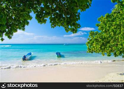 Caribbean Beach and Palm tree