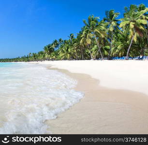 Caribbean Beach and Palm tree .Paradise. Vacation and Tourism concept.