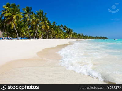 Caribbean Beach and Palm tree .Paradise. Vacation and Tourism concept.